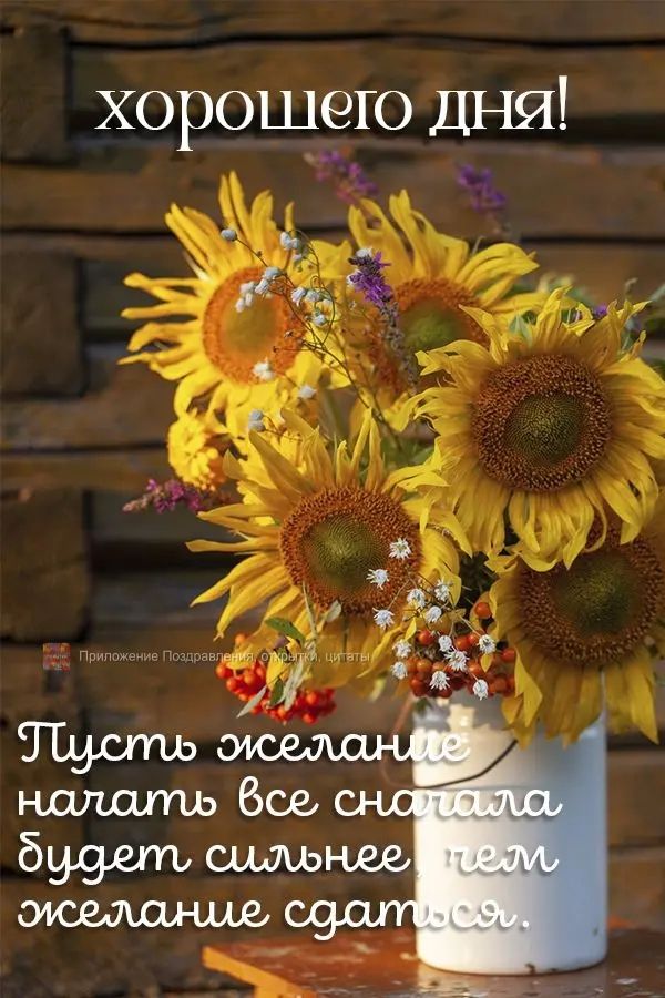хорошего ДНИ