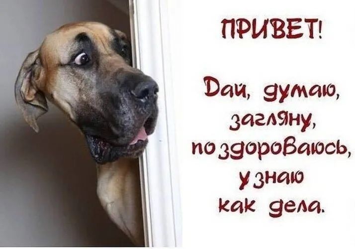 ПРИВЕТ Вии зумащ админу поюороВаюф узника Как зем
