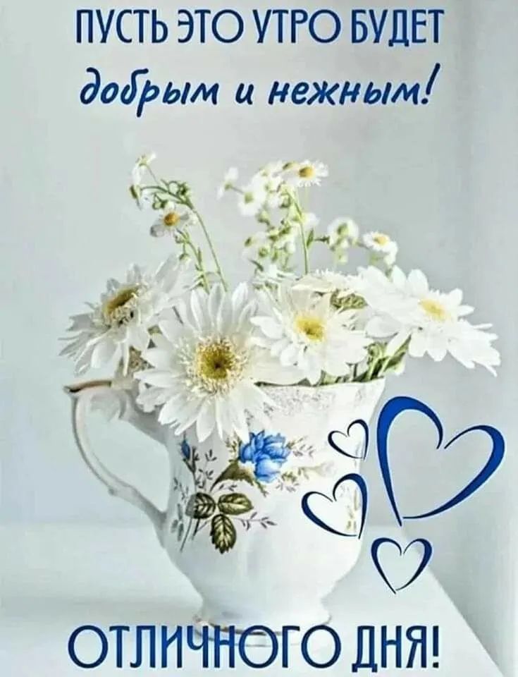 ПУСТЬ ЭТО УТРО БУДЕТ Звірым нежным ОТЛНЧЮГО ДНЯ