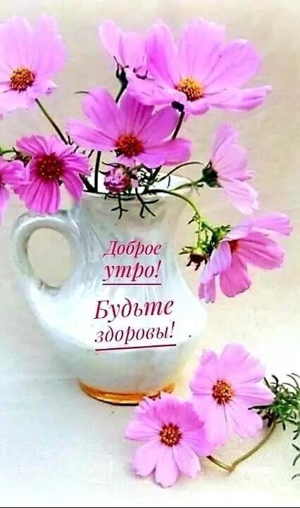 Тоброе утро Будьте здоровы ч ЦАСЕН ё ы