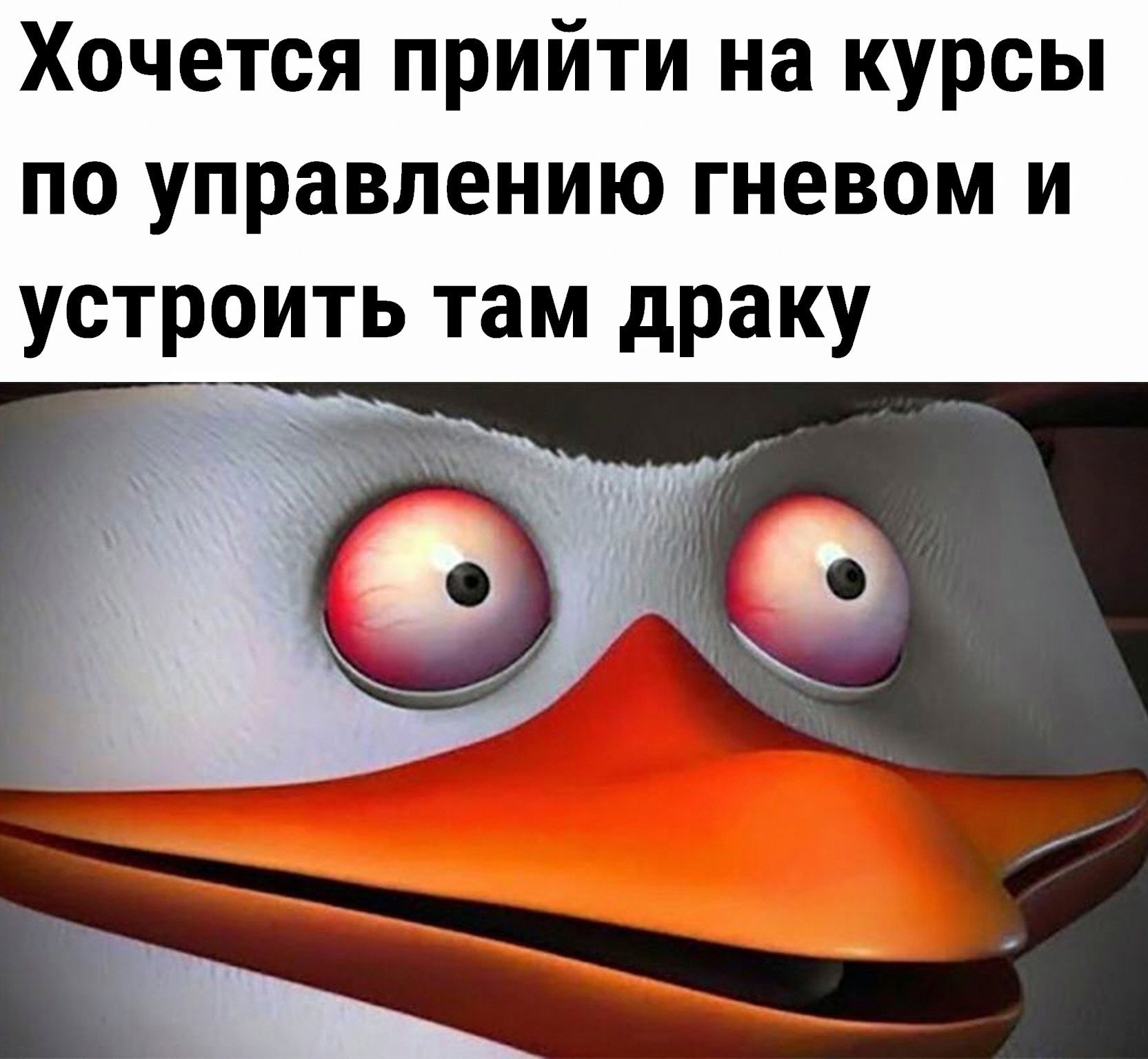 Хочется прийти на курсы по управлению гневом и устроить там драку