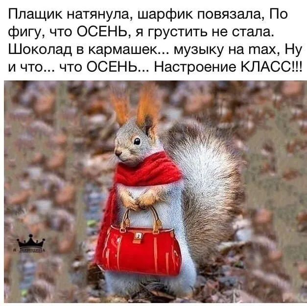 Плащик натянула шарфик повязапа По фигу что ОСЕНЬ я грустить не стала Шоколад в кармашек музыку на тах Ну и что что ОСЕНЬ Настроение КЛАСС