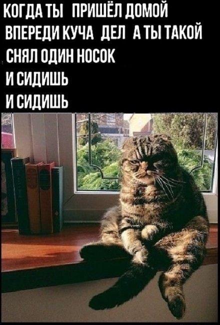 КОГДА ТЫ ПРИШЁЛ ЛПМПЙ ВПЕРЕЛИ КУЧА ЦЕЛ АТЫ ТАКОЙ СНЯЛ ПЛИН НШЮК И БИЛИШЬ И БИдИШЬ