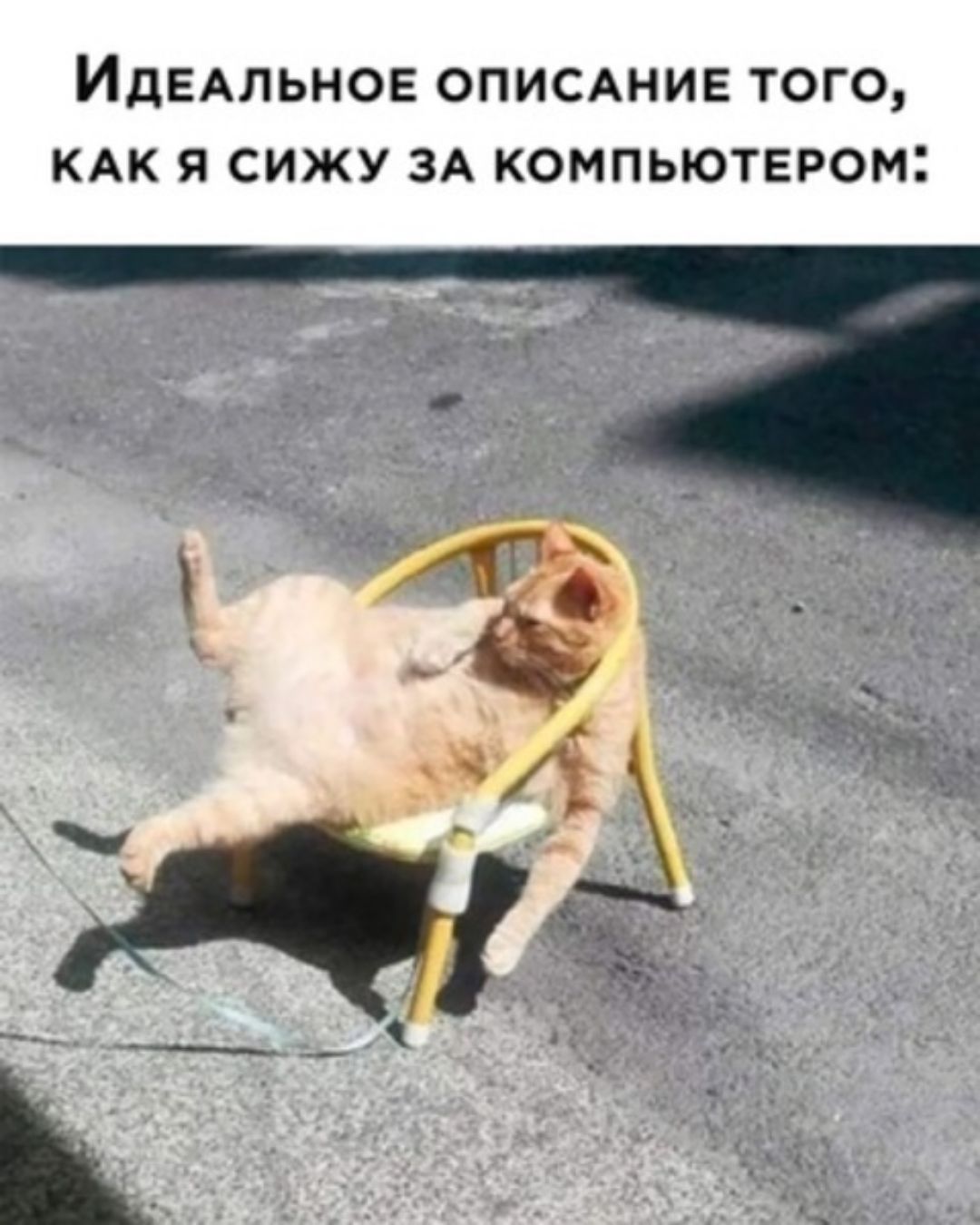 ИДЕАЛЬНОЕ ОПИСАНИЕ ТОГО КАК Я СИЖУ ЗА КОМПЬЮТЕРОМ