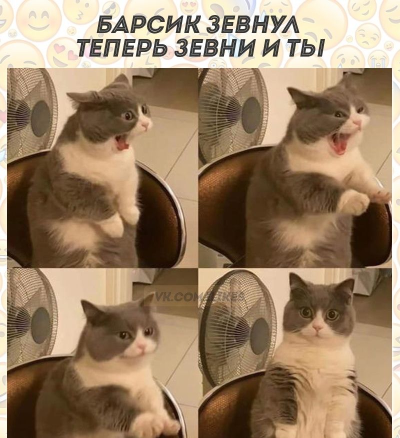 БАРСИК ЗЕВНУА ТЕПЕРЬ ЗЕВНИ И ТЫ