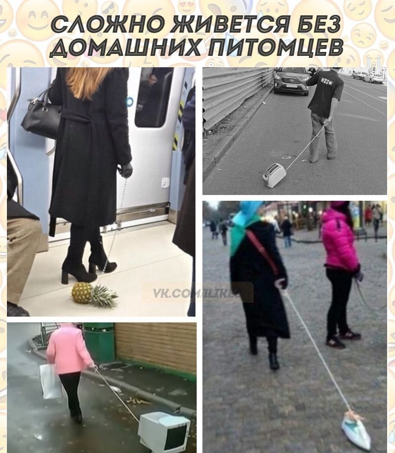 САОЖНО ЖИВЕТСЯ БЕЗ ДОМАШНИХ ПИТОМЦЕВ П