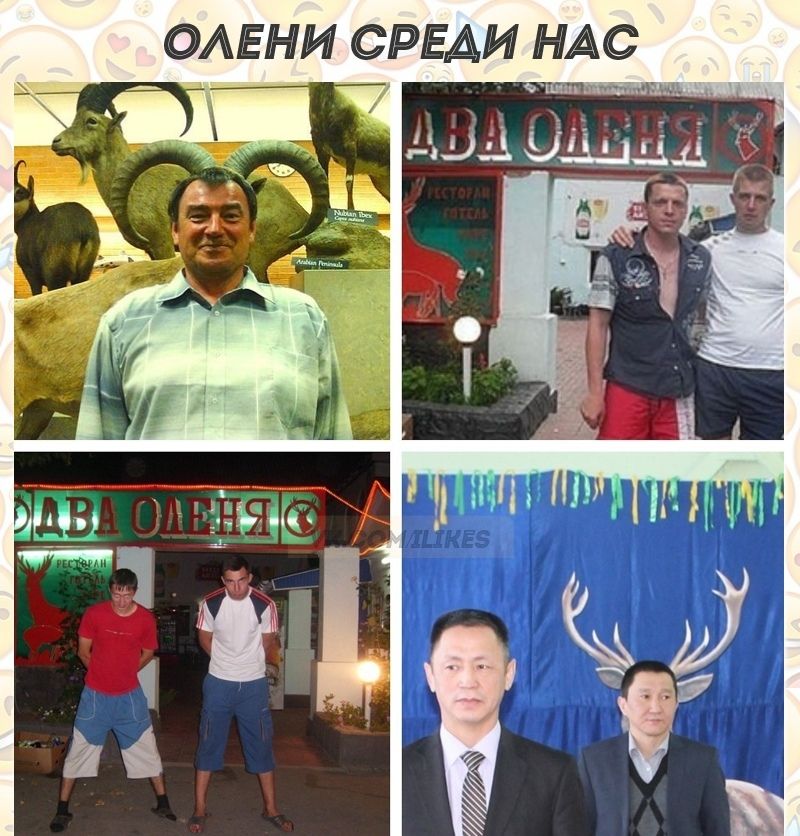 ОАЕНИ СРЕАИ НАС