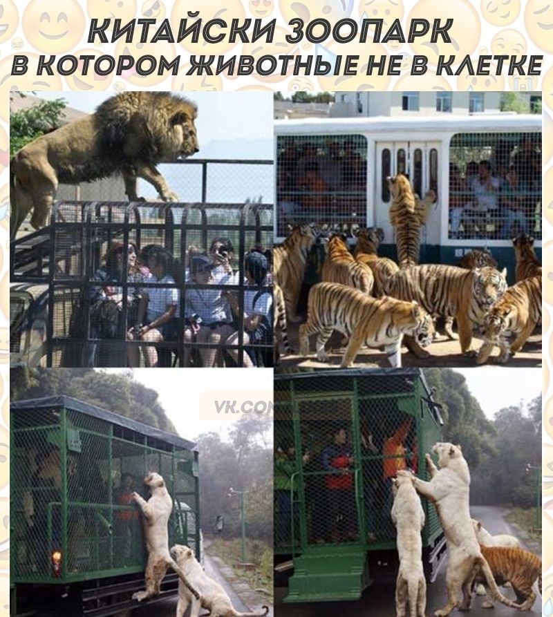 КИТАЙСКИ ЗООПАРК
