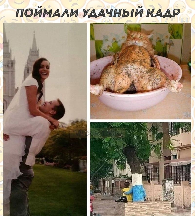 ПОЙМААИ умчный кмр
