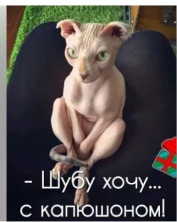 1 уёу хочу с копЁошономі