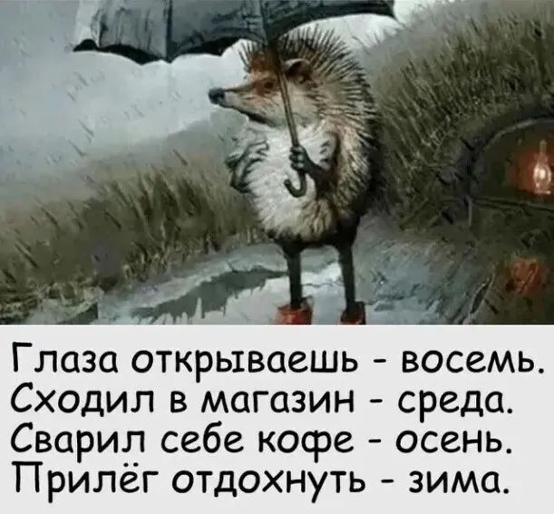 Глаза открываешь восемь Сходил в магазин среда Сварил себе кофе осень Прилег отдохнуть зима