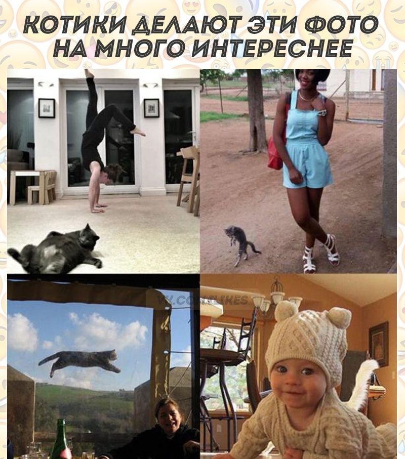 КОТИКИ АЕААЮТ ЭТИ ФОТО НА МНОГО ИНТЕРЕСНЕЕ