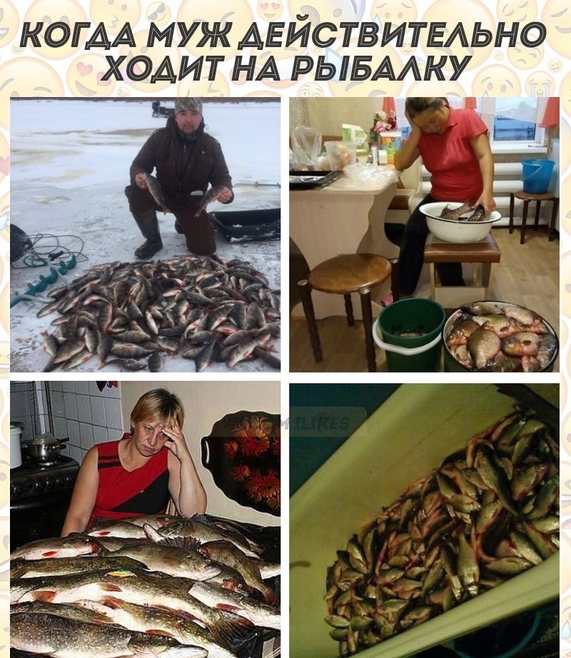 КОГ АА МУЖ АЕЙСТВИТЕАЬНО ХОАИТ НА РЬБААКУ