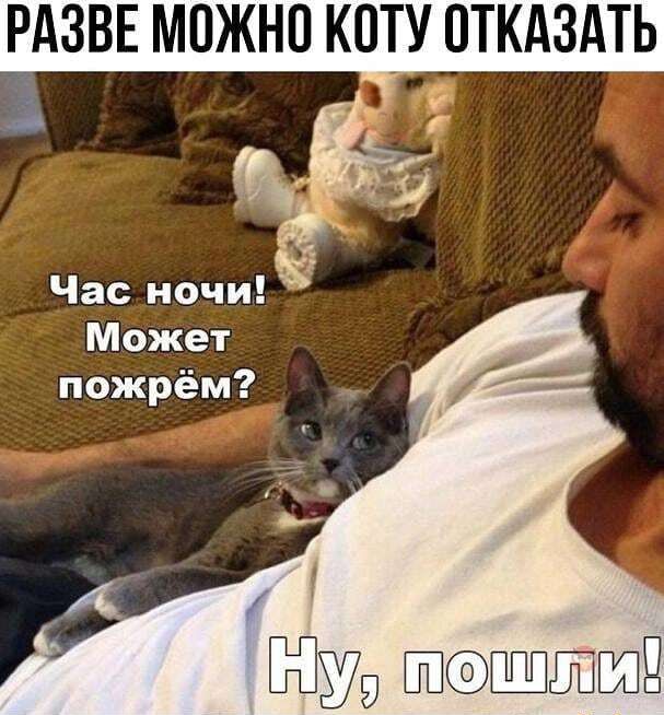 РАЗВЕ МОЖНО КЩУ ПТКАЗАТЬ