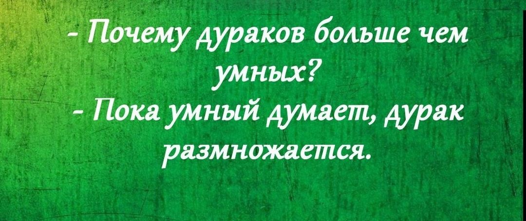 Дураков бомше чем умных умный думает дури рцмнтешся