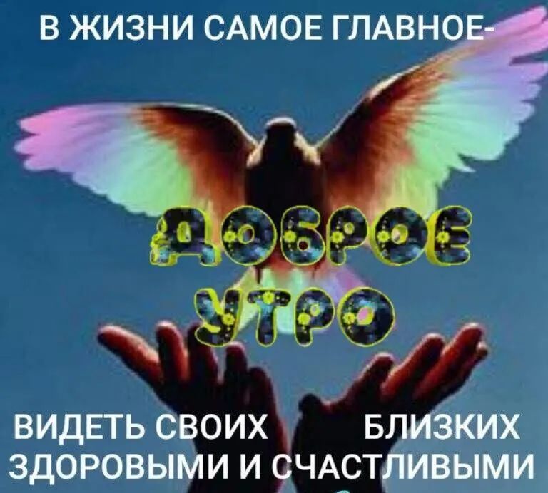 В ЖИЗНИ САМОЕ ГЛАВНО