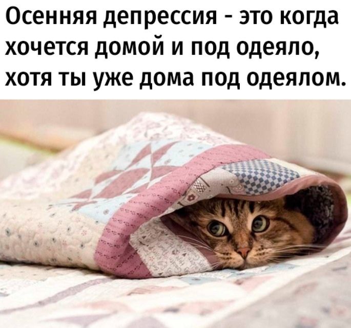 Осенняя депрессия это когда хочется домой и под одеяло ХОТЯ ТЫ уже дома ПОД одеялом