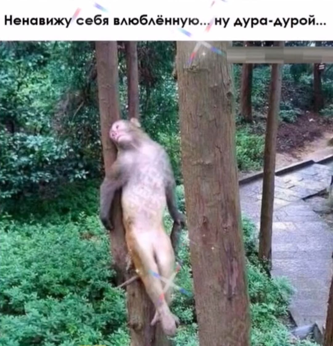 Нонс ижу себя мюбёииукь ну Аура дурой