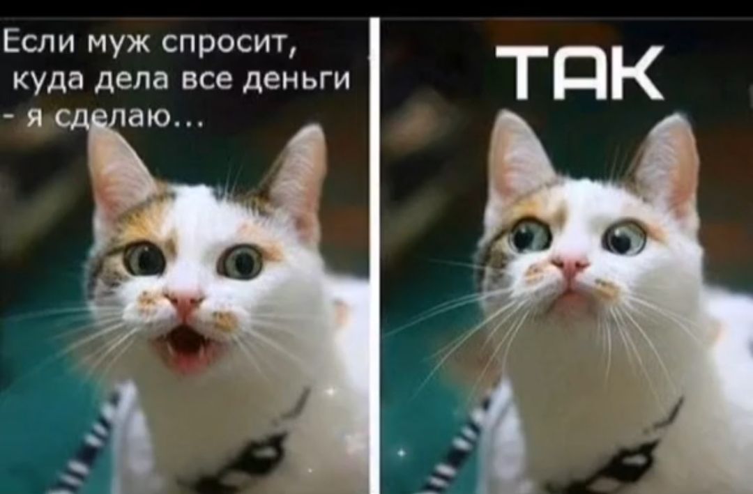 Если муж спросит куда дела все деньги 3