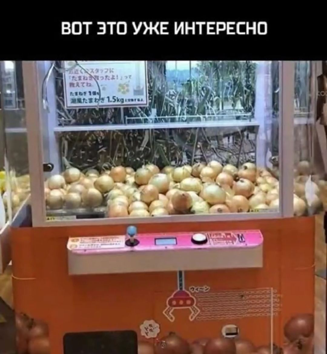 ВОТ ЭТО УЖЕ ИНТЕРЕСНО
