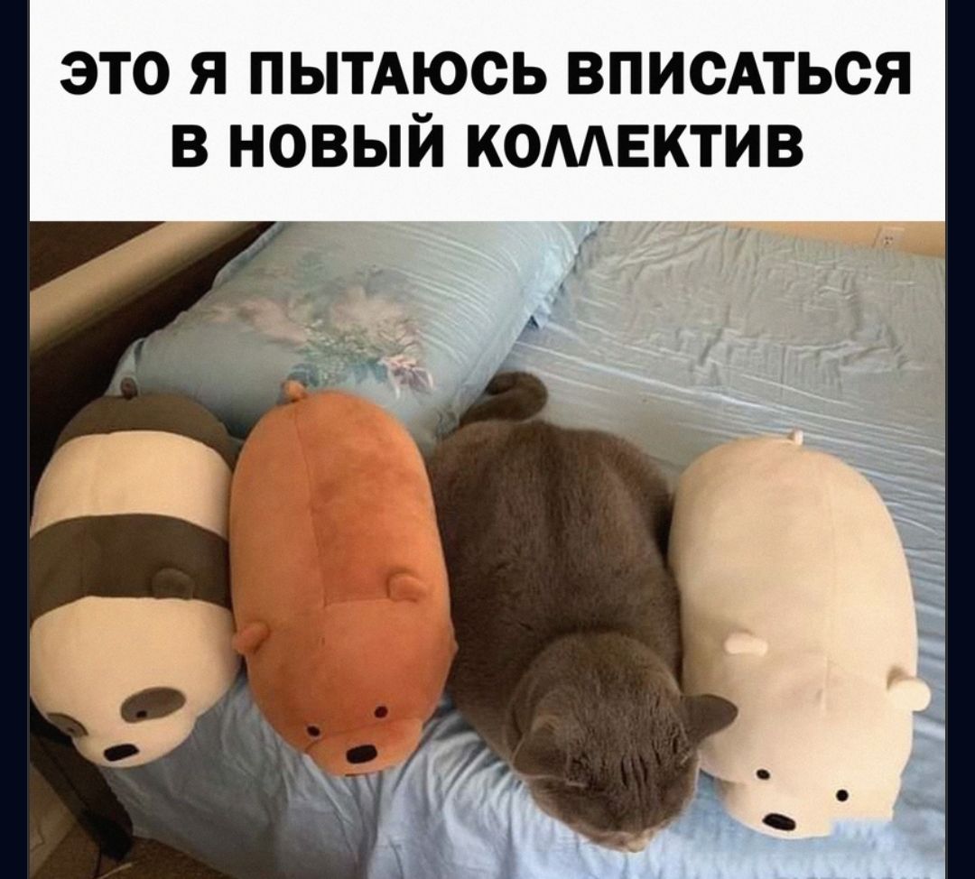 ЭТО Я ПЫТАЮСЬ ВПИСАТЬСЯ В НОВЫЙ КОМЕКТИВ