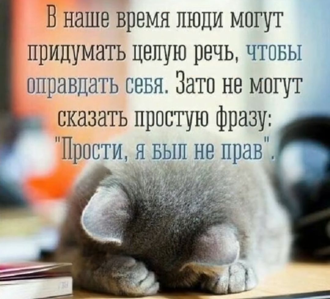 В наше время люди могуг придумать целую речь чтавы оправдать рава Натр не мргут сказать простую фразу Прости а вып не прав