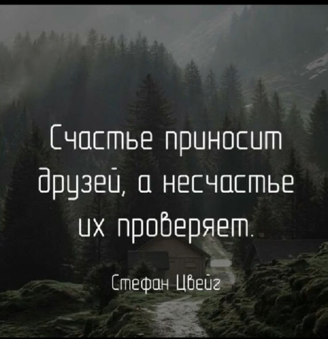 Несчастье возможный. Цитаты со смыслом. Цитаты про друзей. Цитаты про дружбу. Цитаты про дружбу со смыслом.