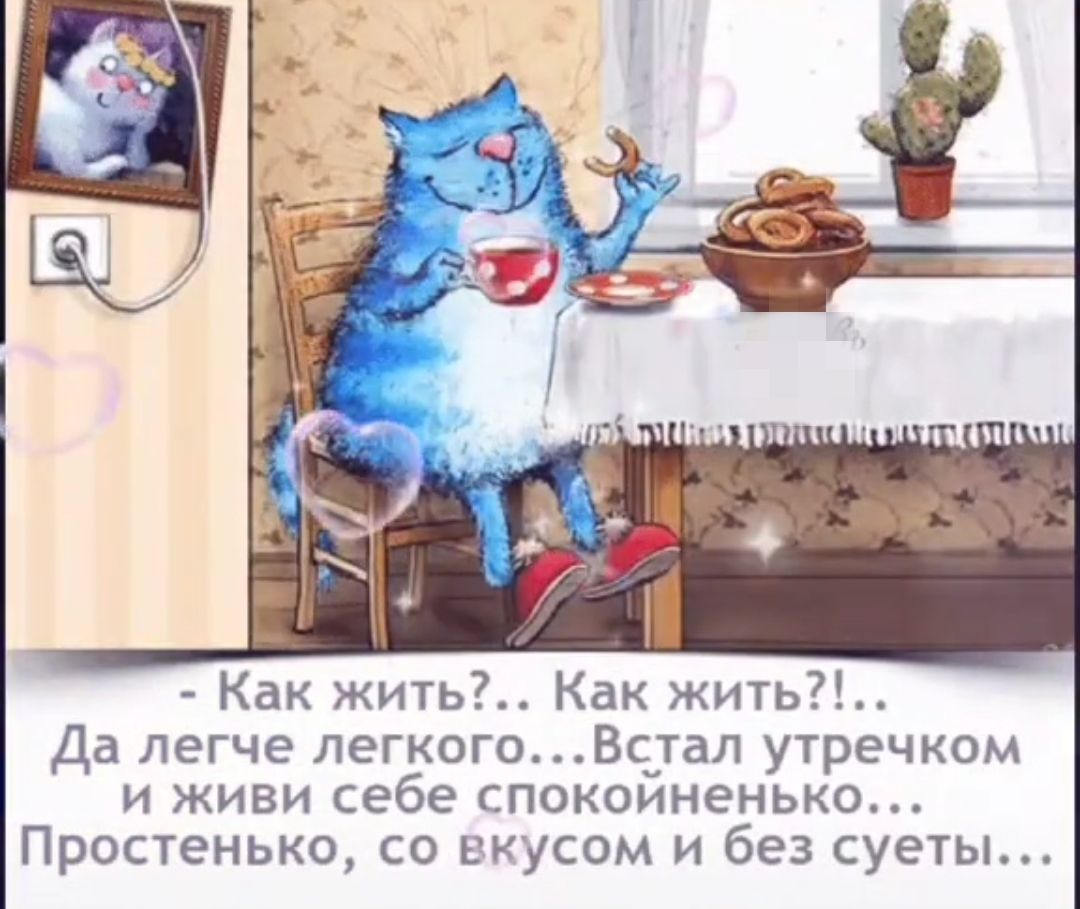 Как жить Как жить Да легче легкого Вс_тап утречком и живи себе гпокоиненько Простенько со судсом и без суеты
