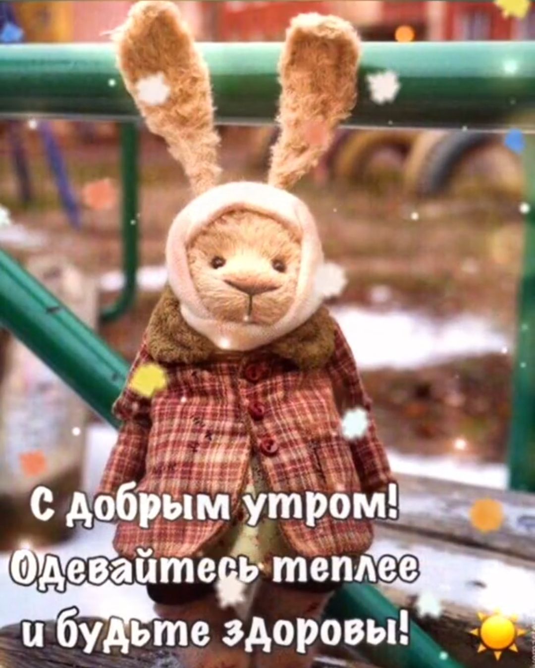 утром деванте щенят НБ утьте здорзвы _