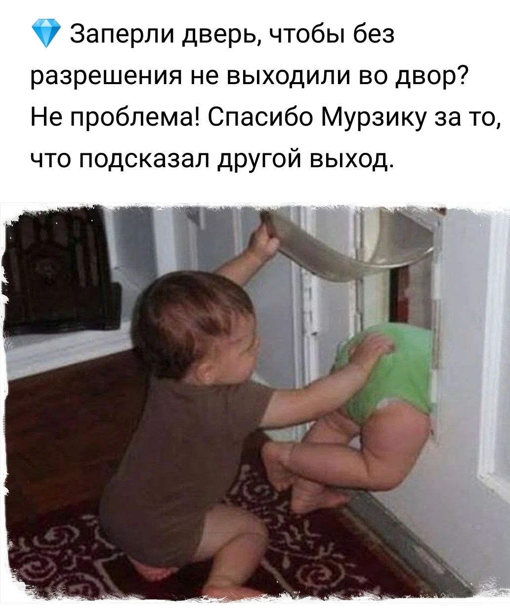Заперли дверь чтобы без разрешения не выходили во двор Не проблема Спасибо Мурзику за то что подсказал другой выход