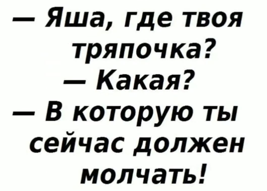 Яша где твоя тряпочка Какая В которую ты сейчас должен молчать