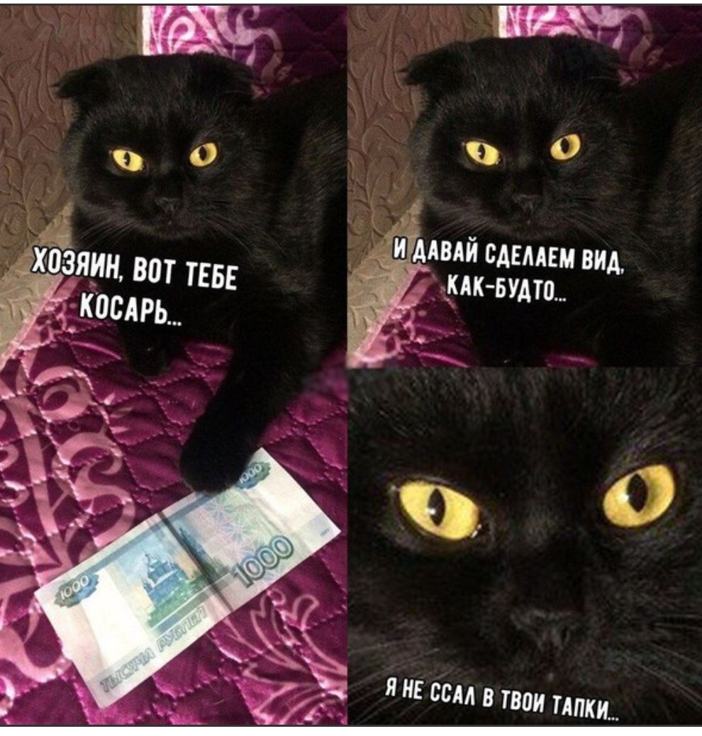 П Е ВВМ ТБМ ППП