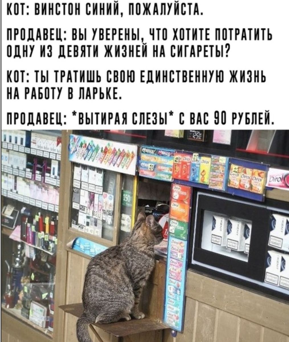 ИЦТ ВИИЕТЦИ ЕИИИИ ПЦЖИЛУИПА ПРПЩВЕЦ ВЫ УВЕРЕИЫ ИТЦ ХПТИТЕ ППТПТИТЪ ЦЦИУ ИЗ ЛЕБИТИ ЖИИИЕИ ИИ БИГИРЕТЫ ИЦТ ТЫ ПАТИШЬ СЦПИ ЕЦИИБТВЕИИУИ ЖИЗИЬ ИА РАН В МРЬИЕ ПРПЦАВЕЦ ИЪПИРАИ ЕЛЕЦЫ ЦАП ИП РУБПЕИ