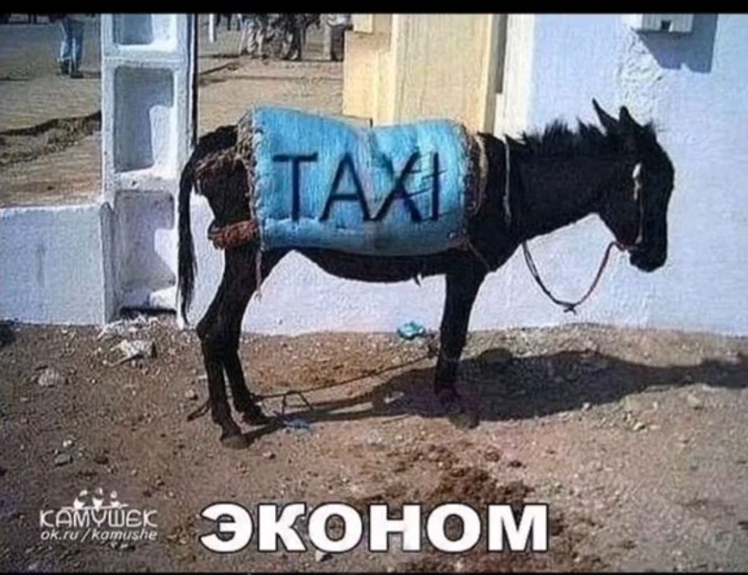 о эконом
