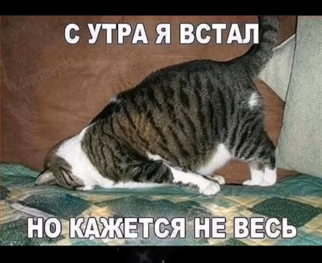 С УТРА Я ВСТАЛ