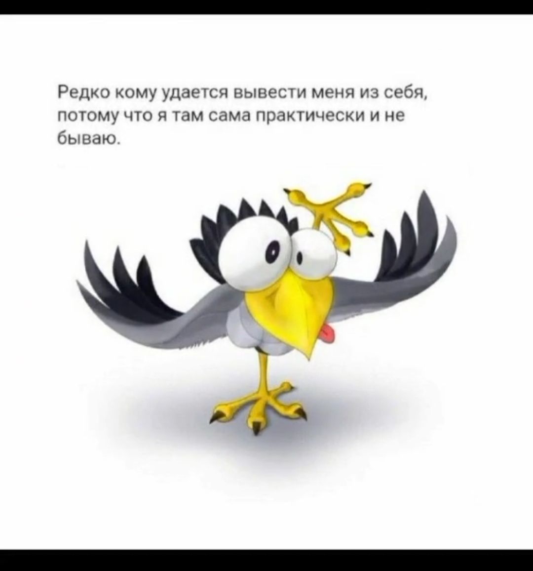 и кому мы ныкесщ м и ибп поюму чю и ты сама практики и из бьшцю