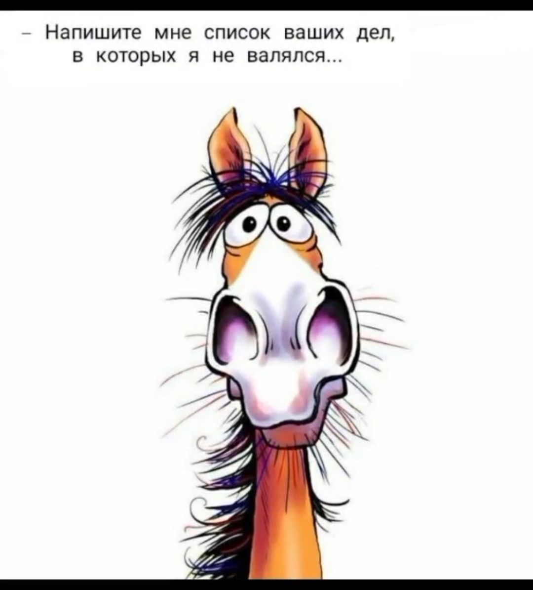 Напишите мне список ваших дет в которых я не напился