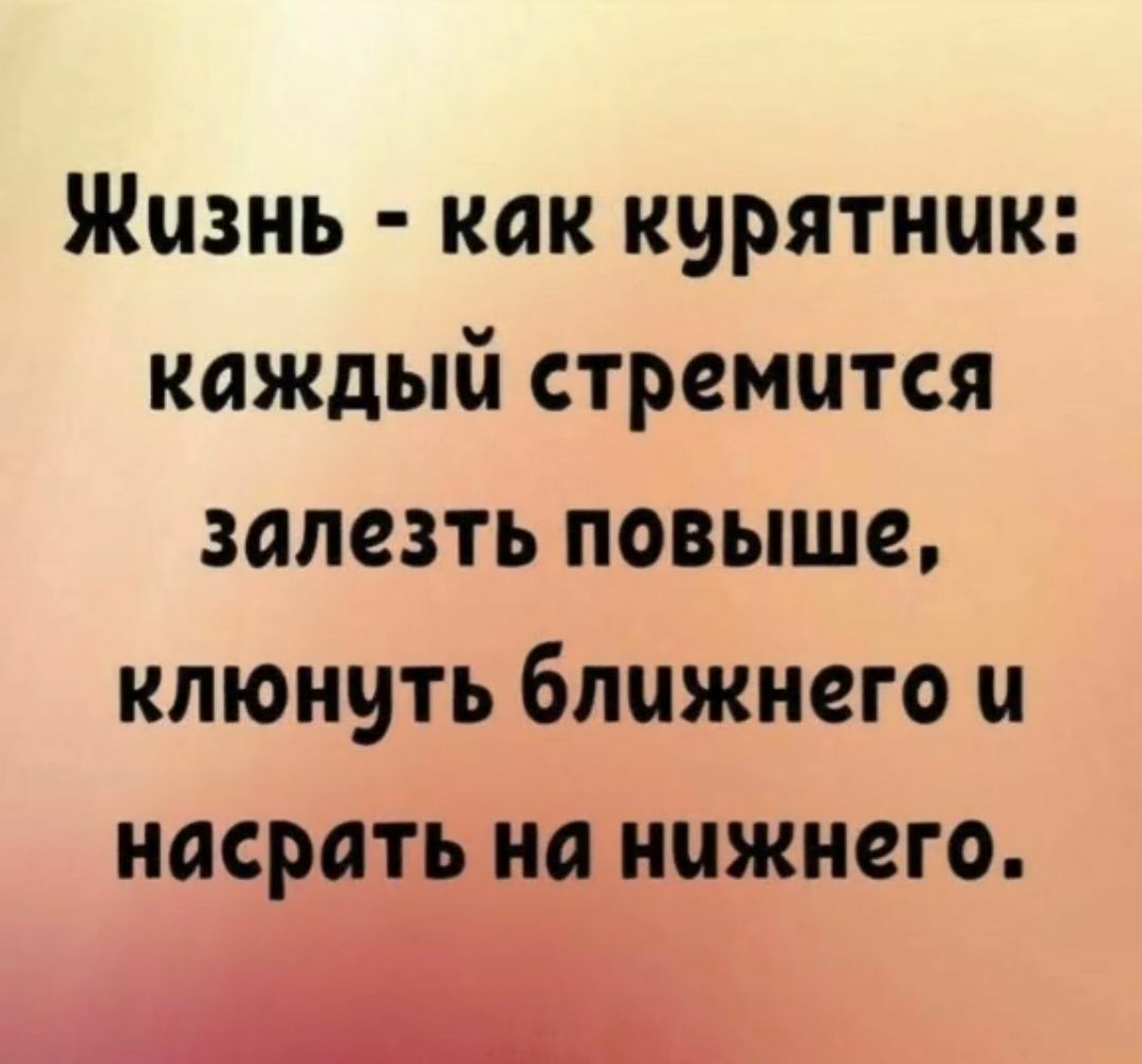 Жизнь как курятник каждый стремится залезть повыше клюнуть ближнего и насрап на нижнего