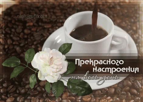 Препраиюао Нацпроенип на
