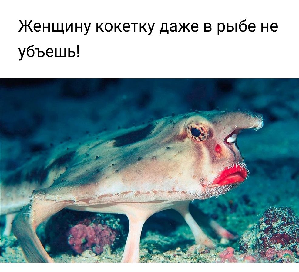 Женщину кокетку даже в рыбе не убъешь