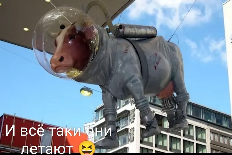 И всё_т летают