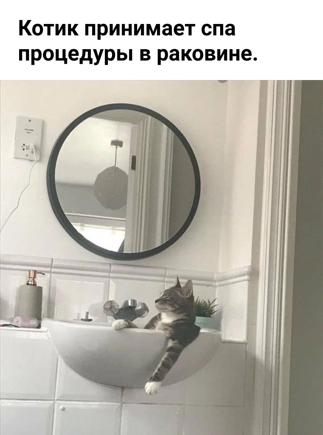 КОТИК принимает ОПЗ процедуры В раковине