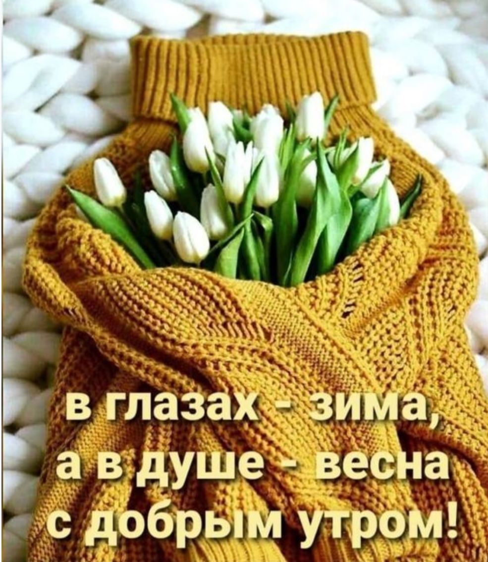 _ Р в глазах зима а в душе весна с добрым утром