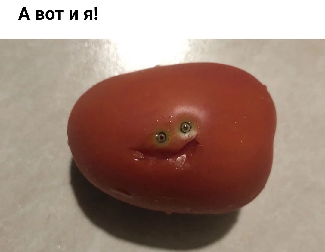 Авотия