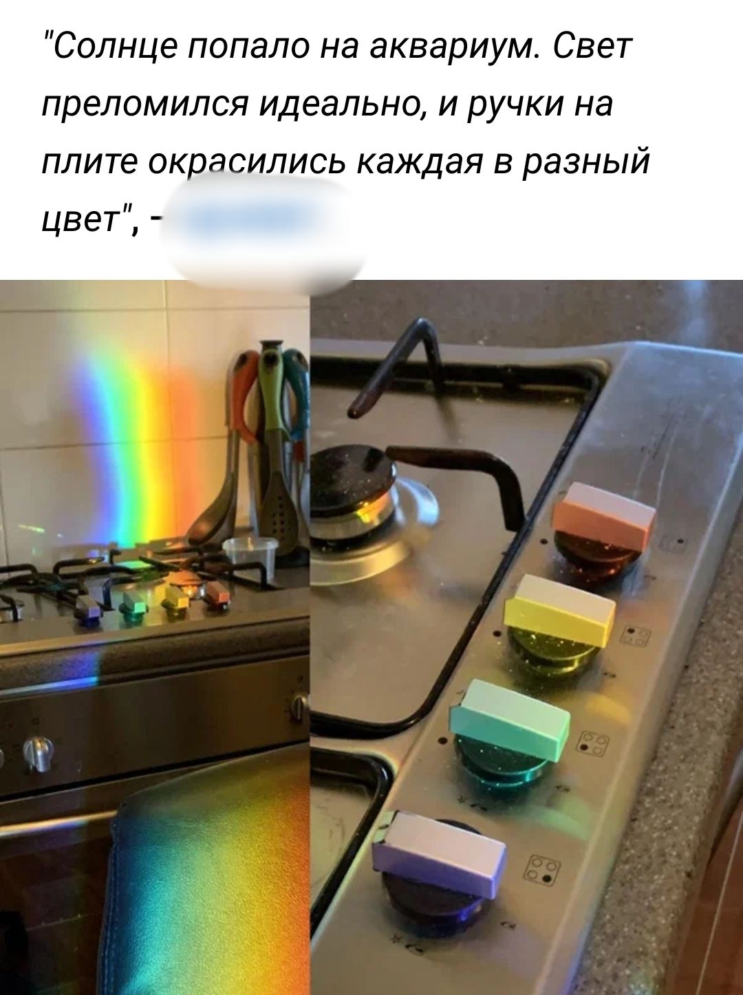 СопнцепопалонааквариииСвет препомипся идеально и ручки на плите окравились каждая в разный цвет