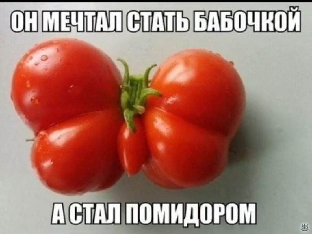 ШШШ ППМИДШПМ