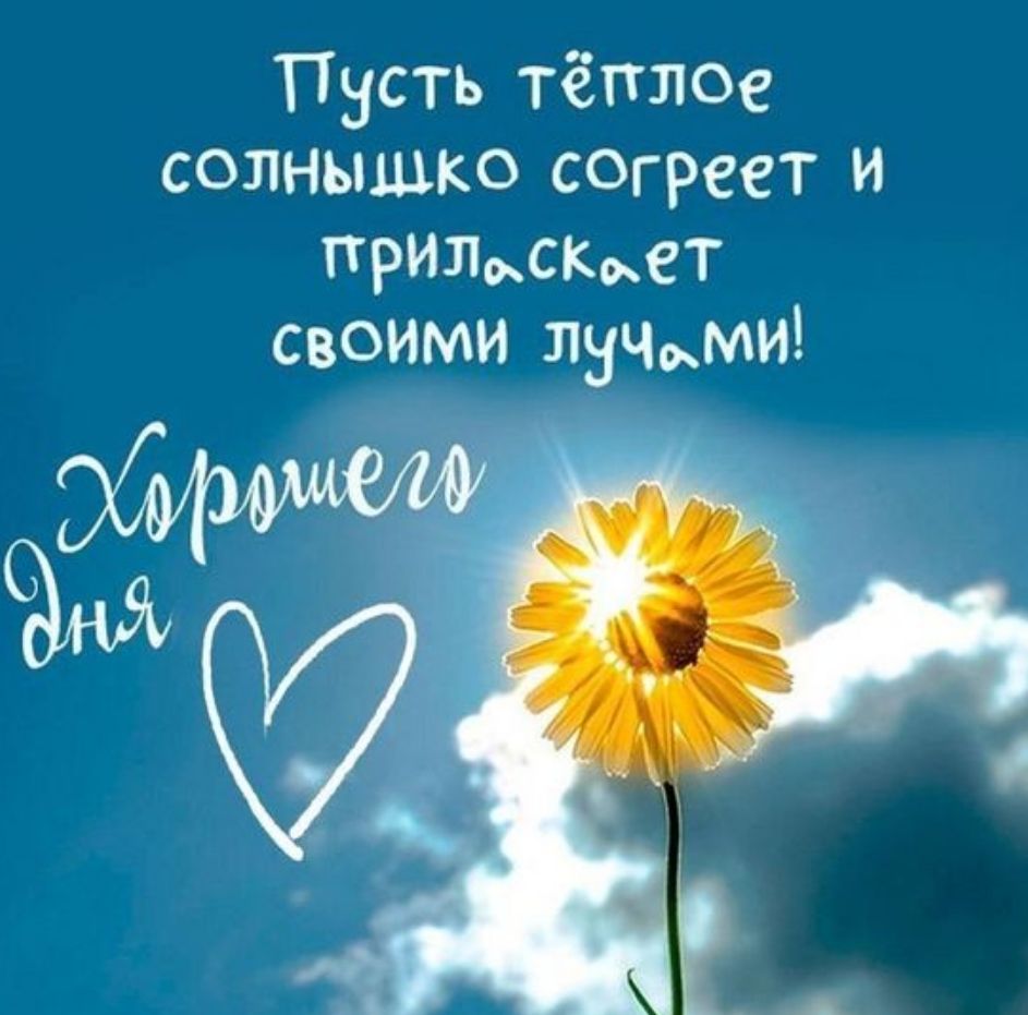 Пусть тёплое солнышко согреет и прилсмет своими лучми