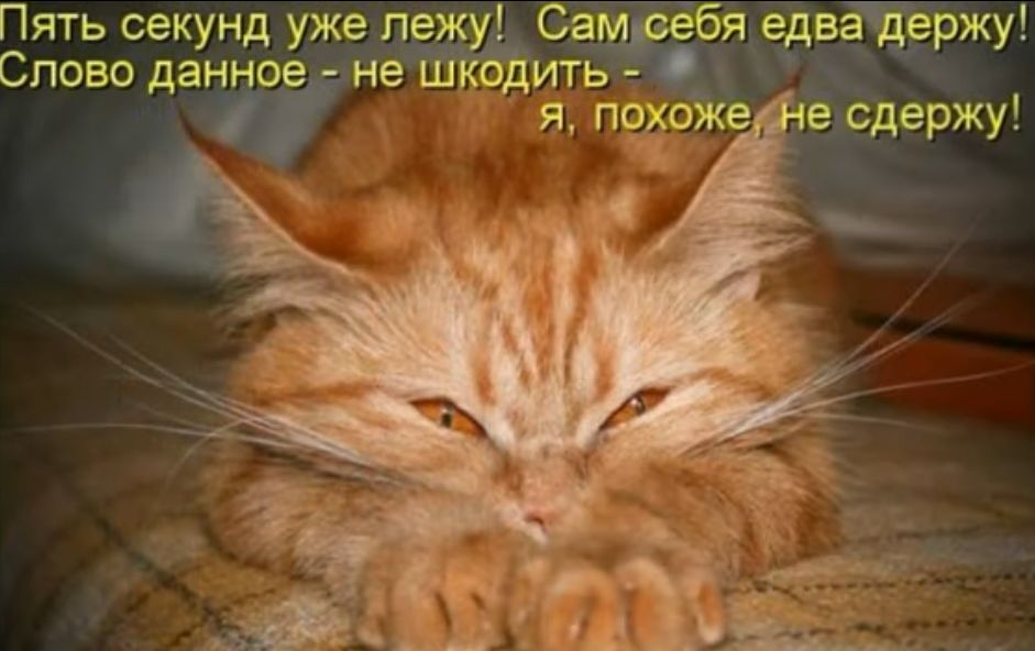 Пять секунд уже ле Сеузбяедватвржу Слово данное не