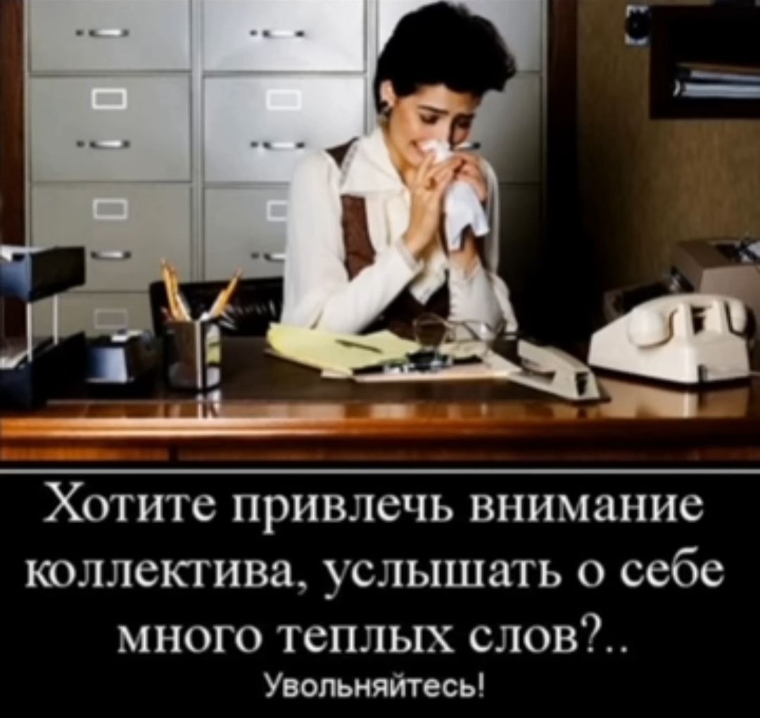 Прикол про новую работу. Цитаты про работу смешные. Увольнение прикол. Женский коллектив демотиваторы. Женский коллектив на работе.