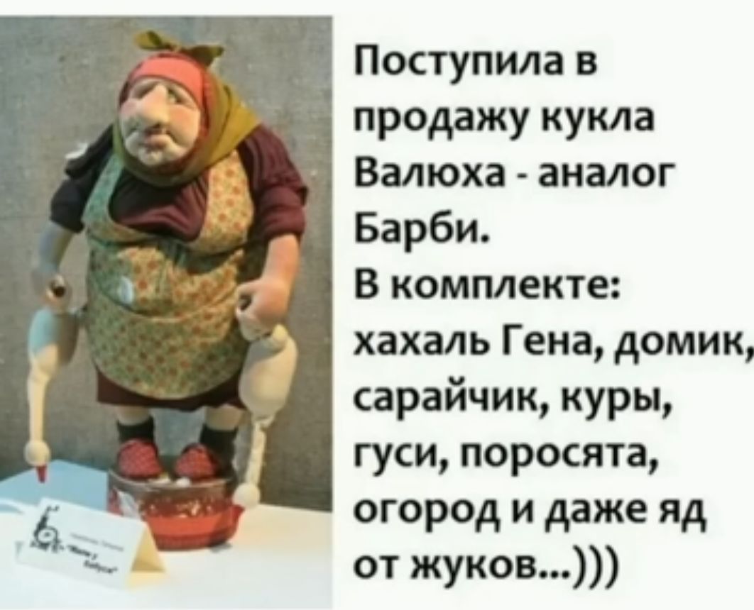 Поступила в продажу кукла Валюха аналог Барби В комплекте хахаль Гена домик сарайчик куры гуси поросята огород и даже яд от жуков